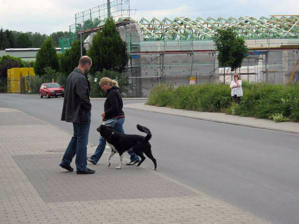 Die Bilder kommen bald