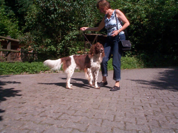 Der Kleine M�nsterl�nder