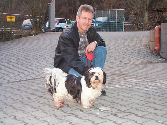 Der Lhasa Apso