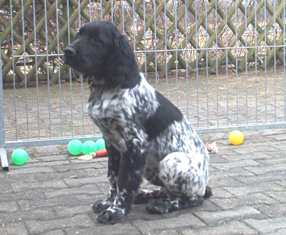 M&uuml;nsterl&auml;nder