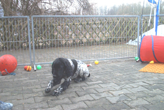 M&uuml;nsterl&auml;nder