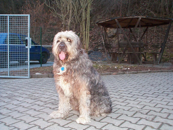 Der W�ller