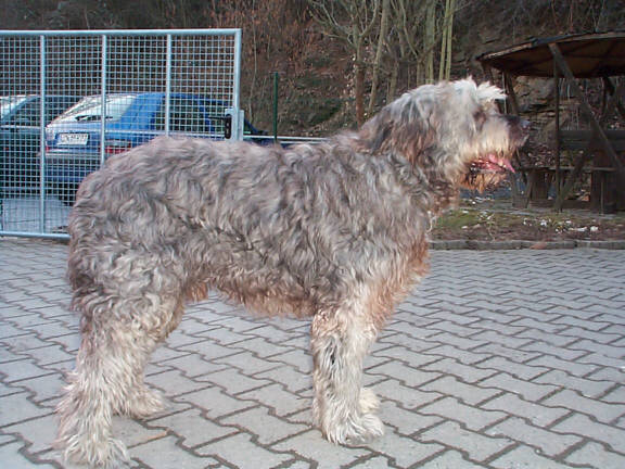 Der W�ller