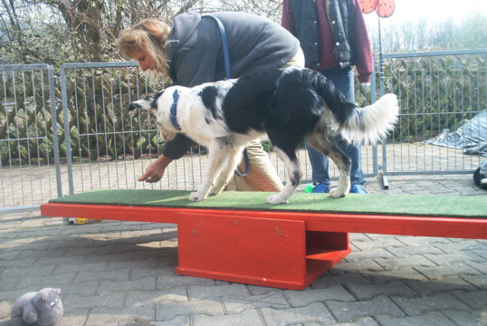 Wippe